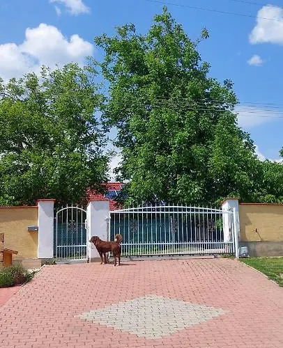 Kamp alanı Gaestehaus Kathi Buschcamper